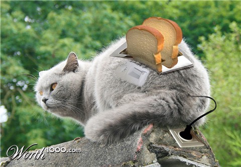 Photoshop Design by jrsoares