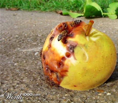 Photoshop Design by xpoc88