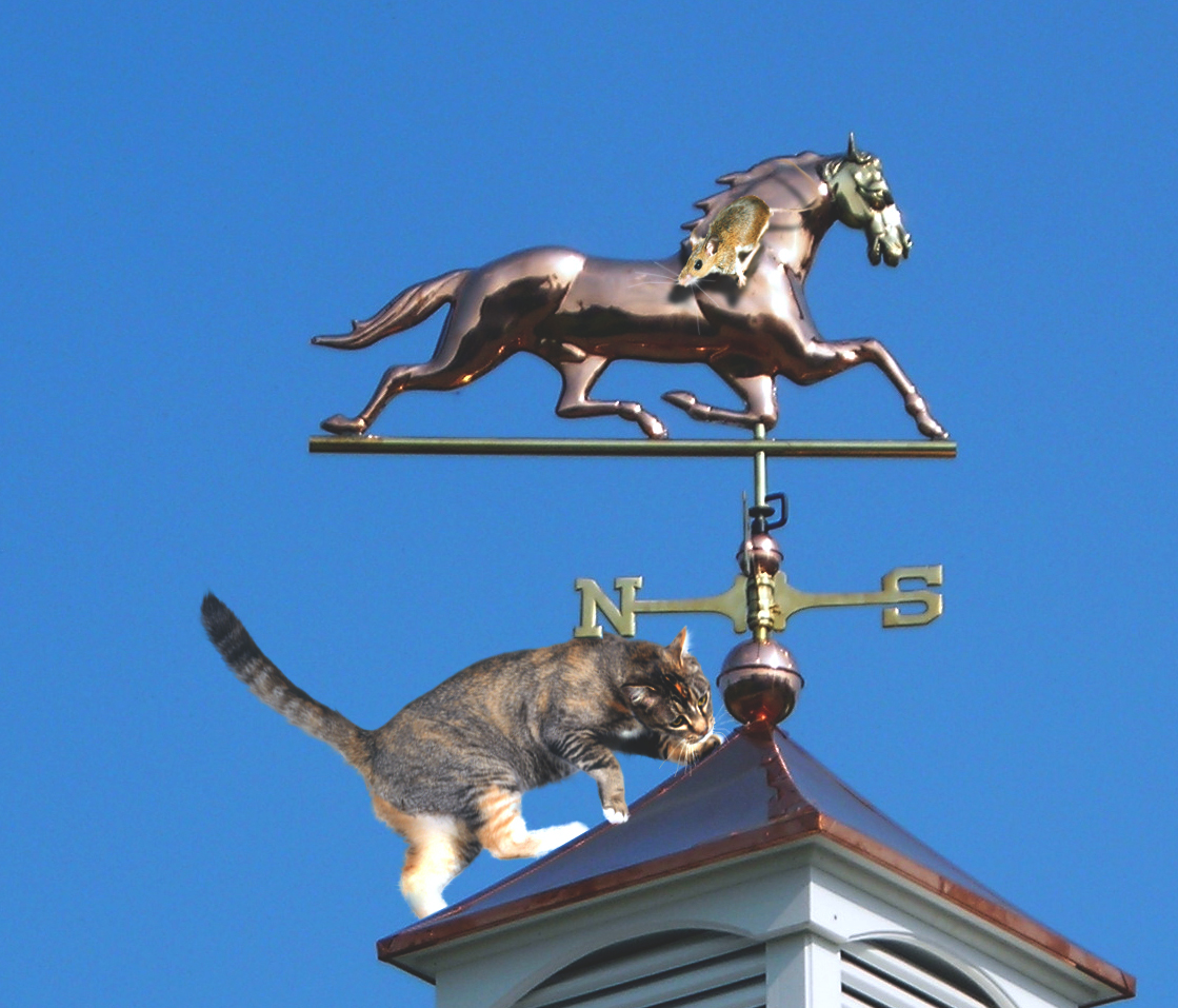 Photoshop Design by bobber1 for DesignCrowd (Community Contests) | Design #8970440