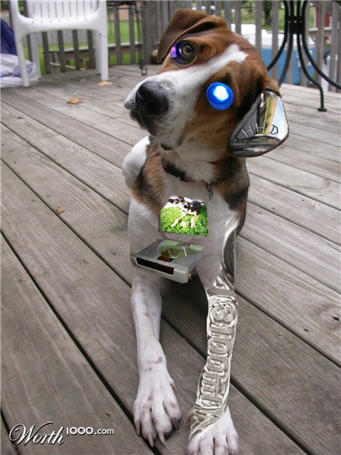 Photoshop Design by allanoora