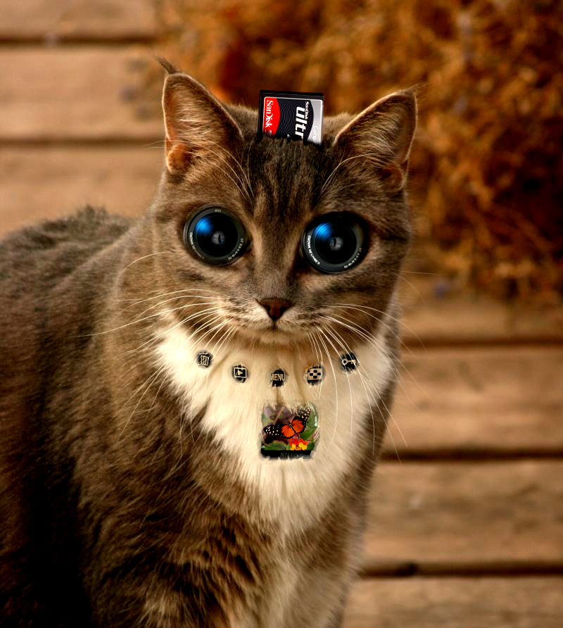 Photoshop Design by stomkinson for DesignCrowd (Community Contests) | Design #8969665