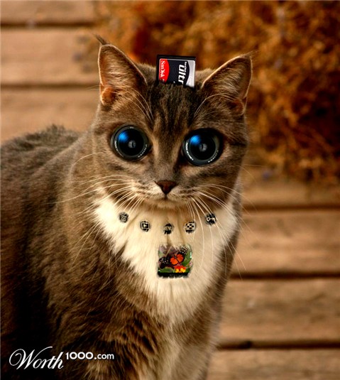 Photoshop Design by stomkinson