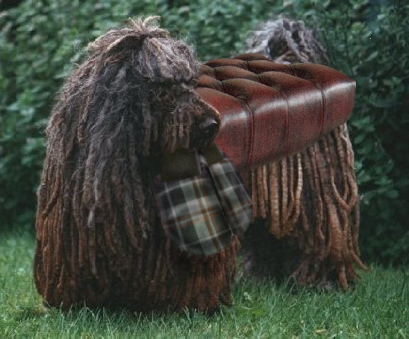 Design Photoshop par Solipse1 pour DesignCrowd (Community Contests) | Design #8969661