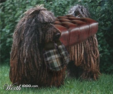 Photoshop Design by Solipse1