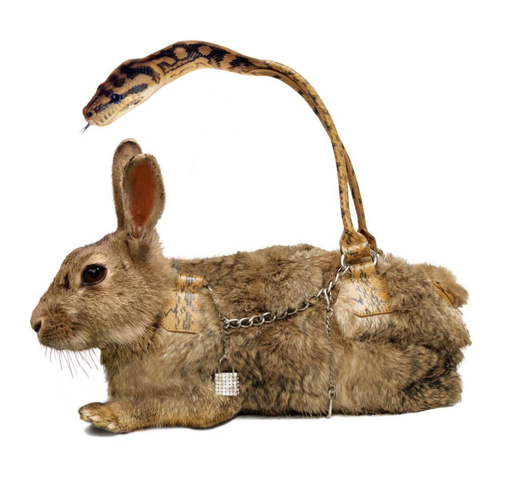 Diseño de Photoshop por Biddee para DesignCrowd (Community Contests) | Diseño #8966668