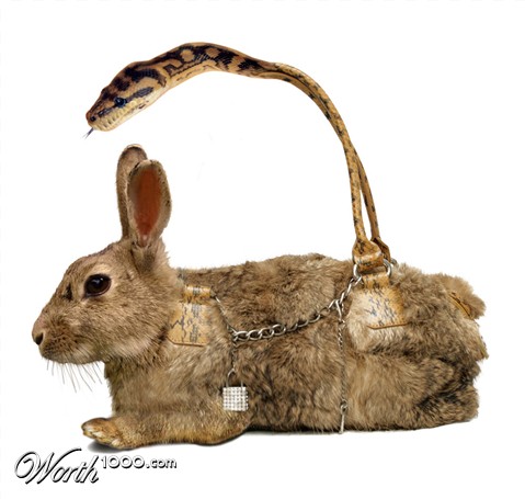 Photoshop Design by Biddee