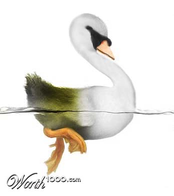 Photoshop Design by monkeyman9342
