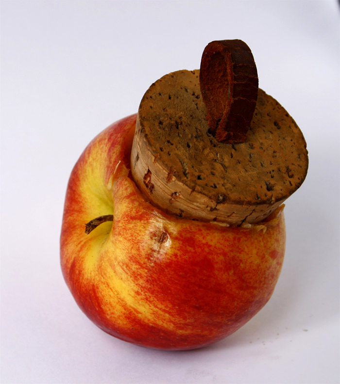 Fotografía por Seba86 para DesignCrowd (Community Contests) | Diseño #8964701