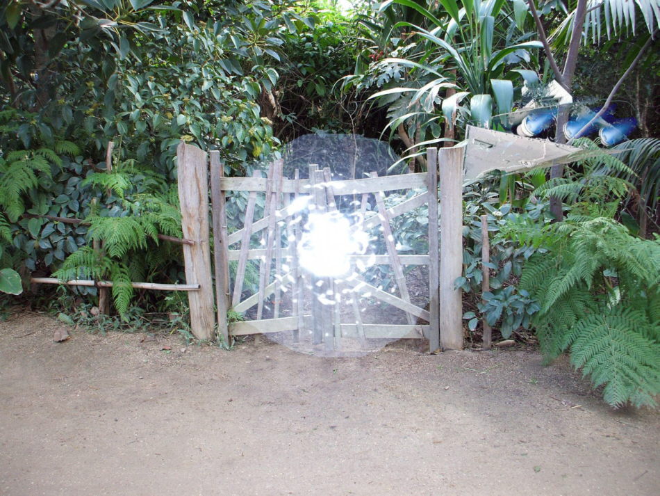 Photoshop Design by brakwaater for DesignCrowd (Community Contests) | Design #8967419