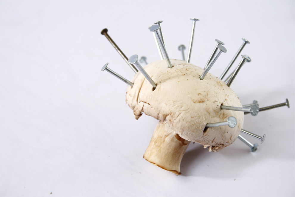 Photography by Seba86 for DesignCrowd (Community Contests) | Design #8965030