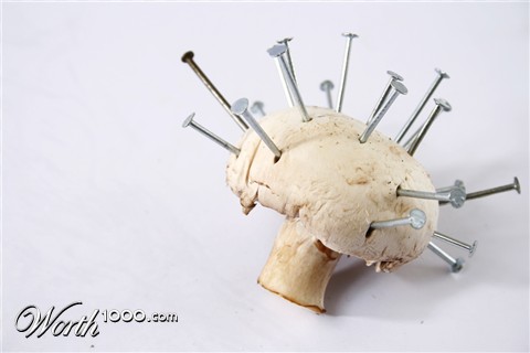 Photography by Seba86