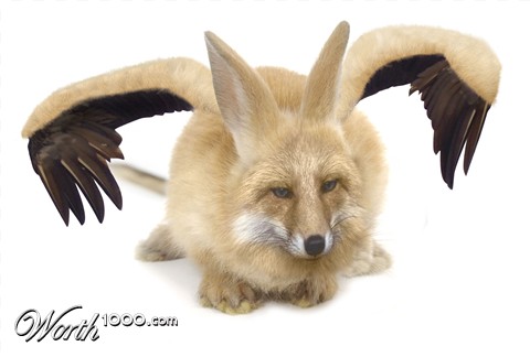 Photoshop Design by dekalicia