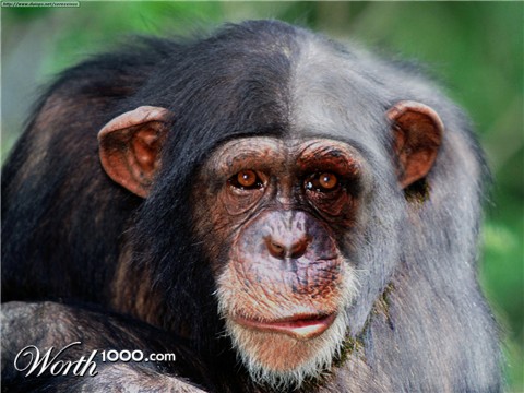 Photoshop Design by Rahulujjal140390