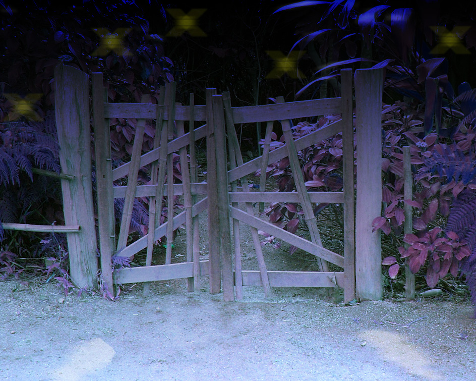 Diseño de Photoshop por mictina para DesignCrowd (Community Contests) | Diseño #8967444