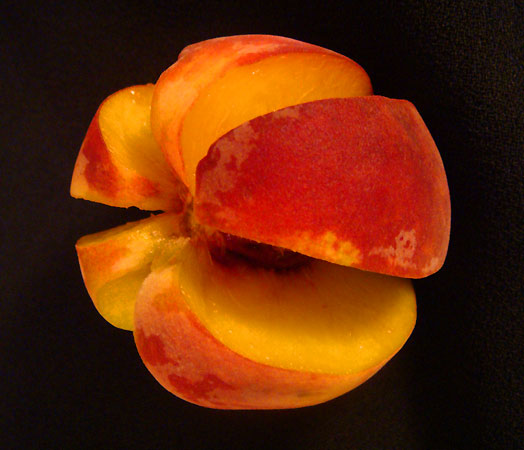 Photography by memool for DesignCrowd (Community Contests) | Design #8964721