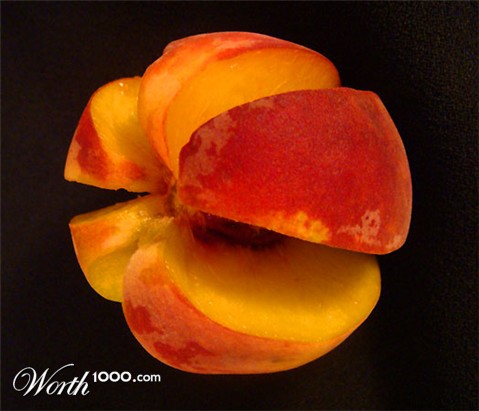 Photography by memool