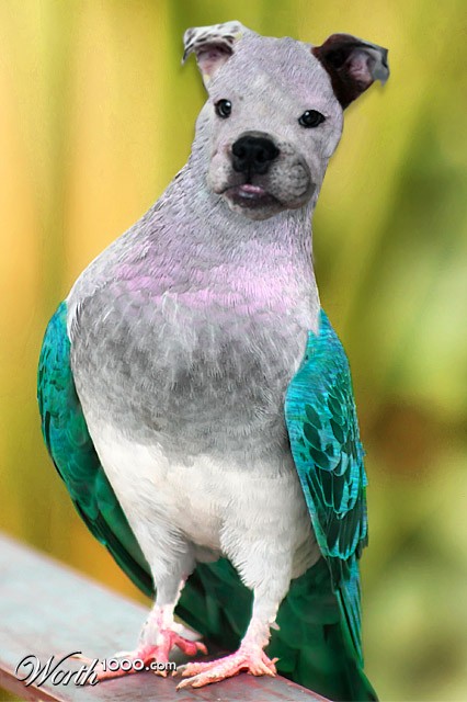 Photoshop Design by schweitz
