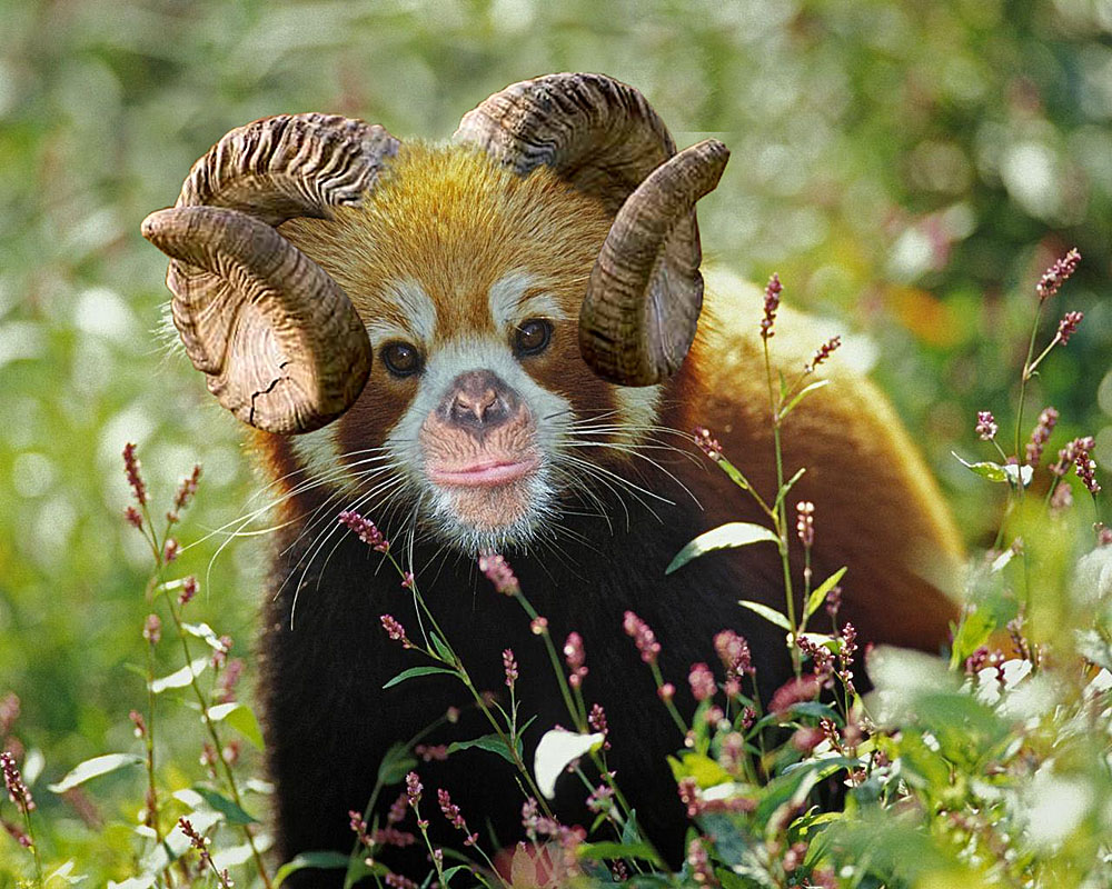 Design Photoshop par colleague pour DesignCrowd (Community Contests) | Design #8966561