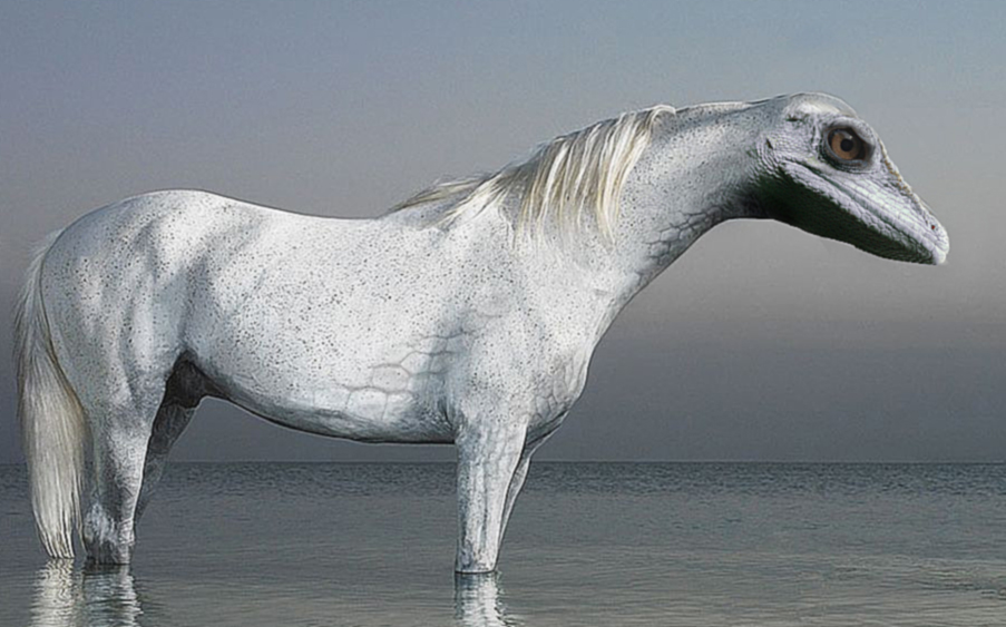 Diseño de Photoshop por fcuetoq para DesignCrowd (Community Contests) | Diseño #8966533