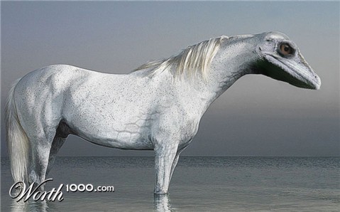 Photoshop Design by fcuetoq