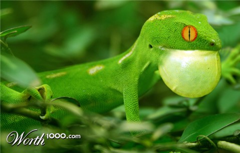 Photoshop Design by Luis30