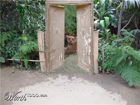 Photoshop Design by PoisonnIvy