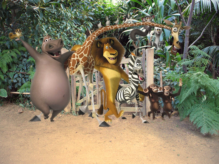 Photoshop Design by falcon9 for DesignCrowd (Community Contests) | Design #8967463