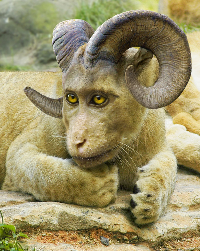 Photoshop Design by mzpresto for DesignCrowd (Community Contests) | Design #8966624