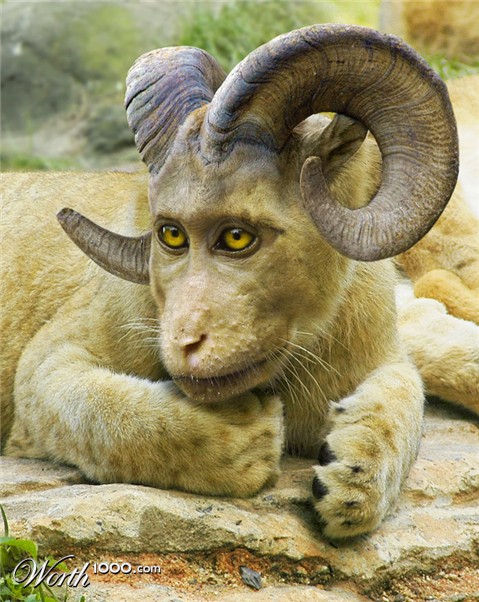 Photoshop Design by mzpresto