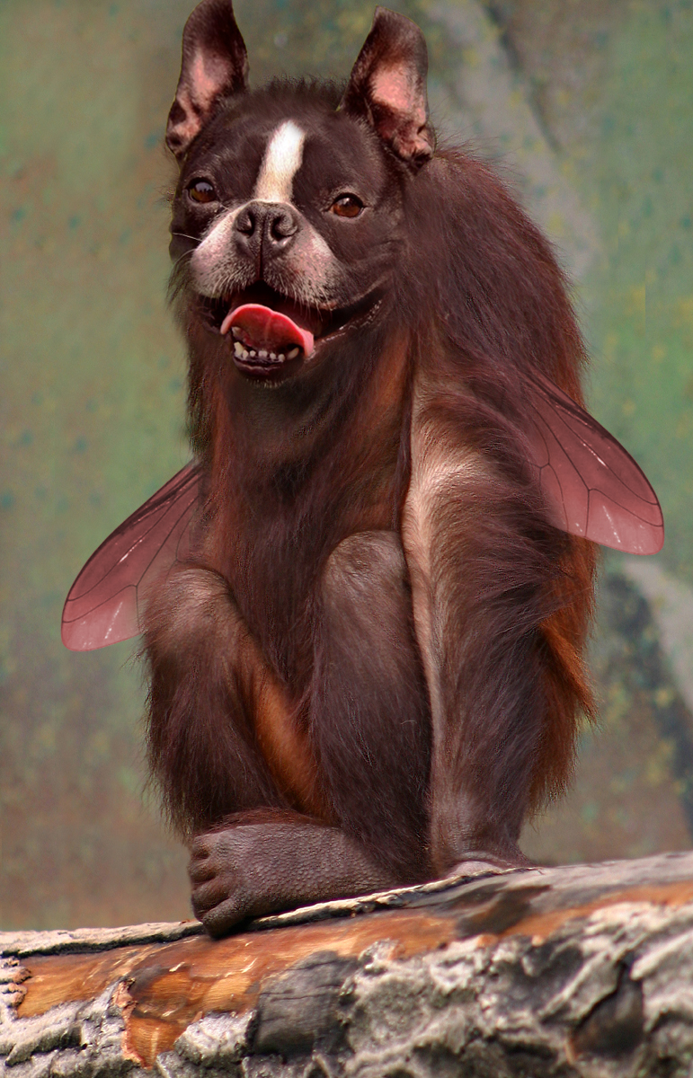 Diseño de Photoshop por bjoernswe para DesignCrowd (Community Contests) | Diseño #8966684