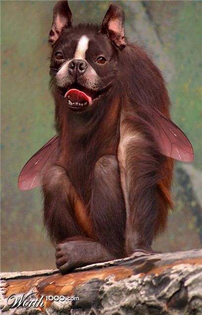 Photoshop Design by bjoernswe