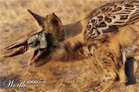 Photoshop Design by ESQUIRE21