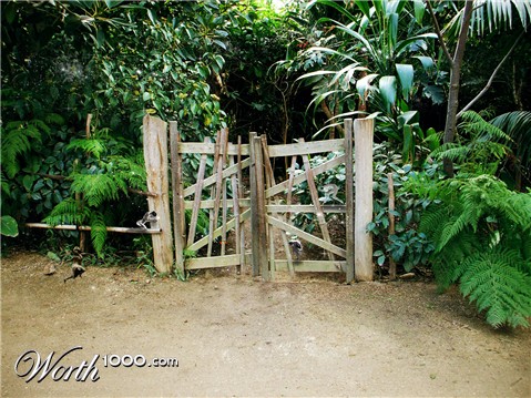 Photoshop Design by tattoofreak