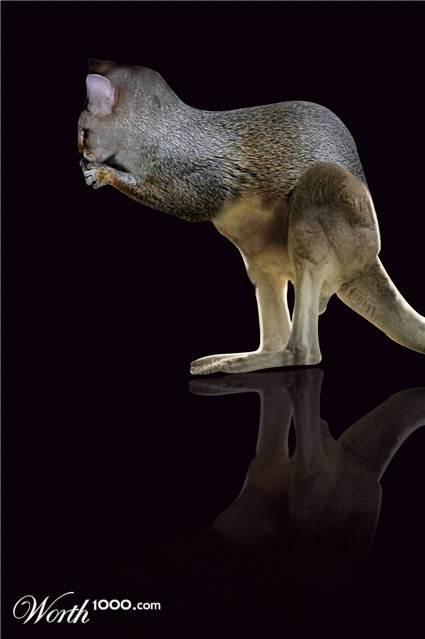 Photoshop Design by surlistyc