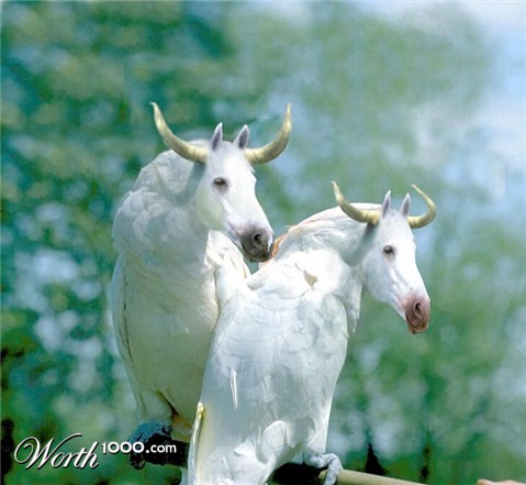 Photoshop Design by sufiyanarmaan