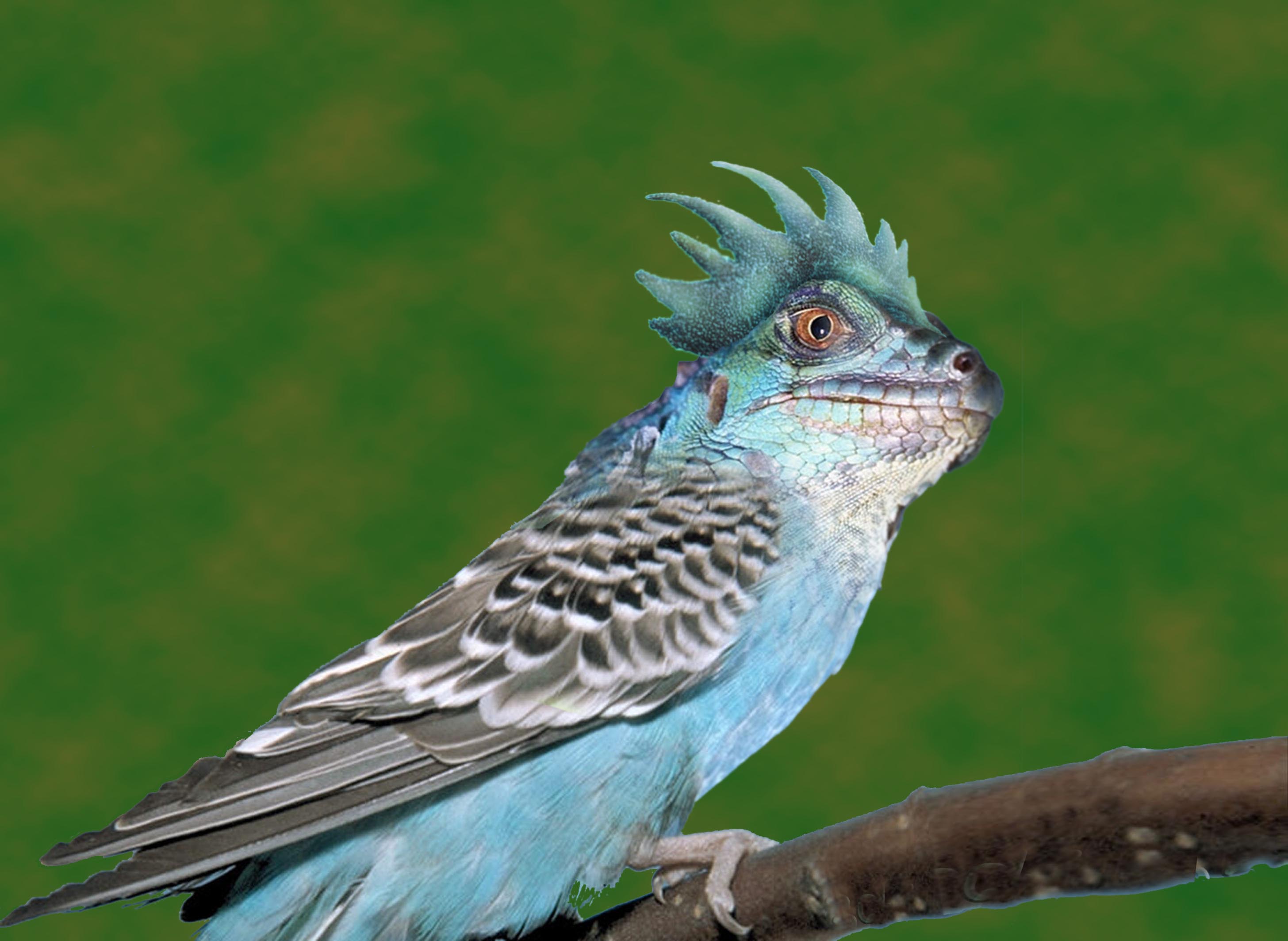 Photoshop Design by raginiroshni for DesignCrowd (Community Contests) | Design #8966756