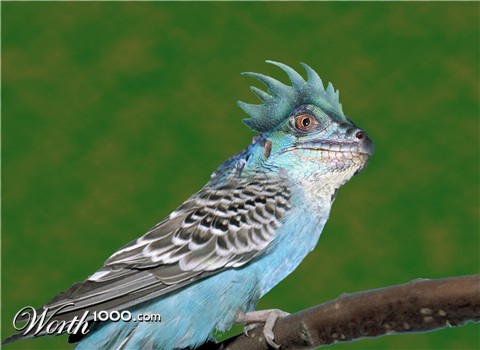 Photoshop Design by raginiroshni