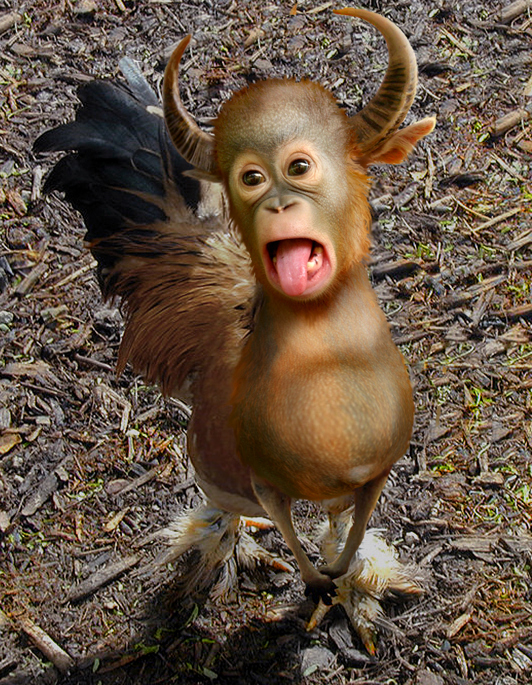 Photoshop Design by Solipse1 for DesignCrowd (Community Contests) | Design #8966866