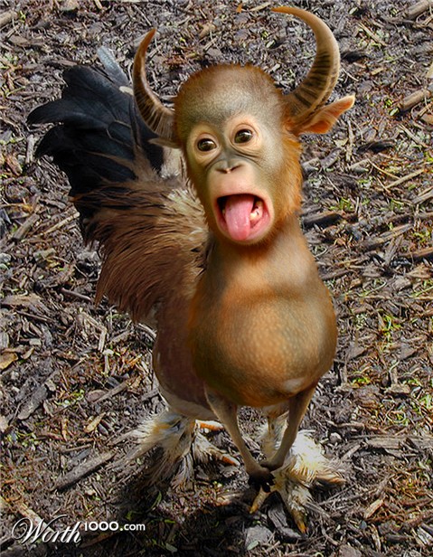 Photoshop Design by Solipse1