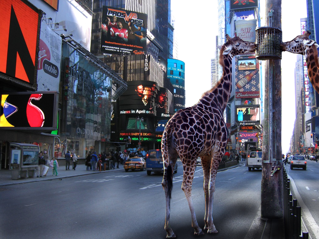 Photoshop Design by Ducky3307 for DesignCrowd (Community Contests) | Design #8967265