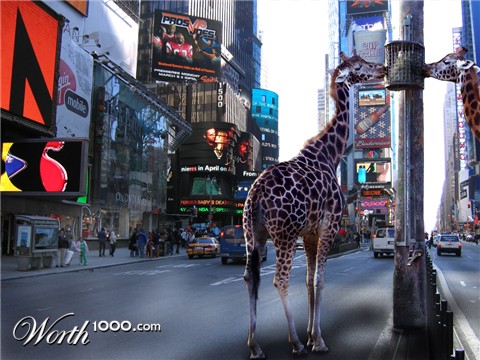 Photoshop Design by Ducky3307