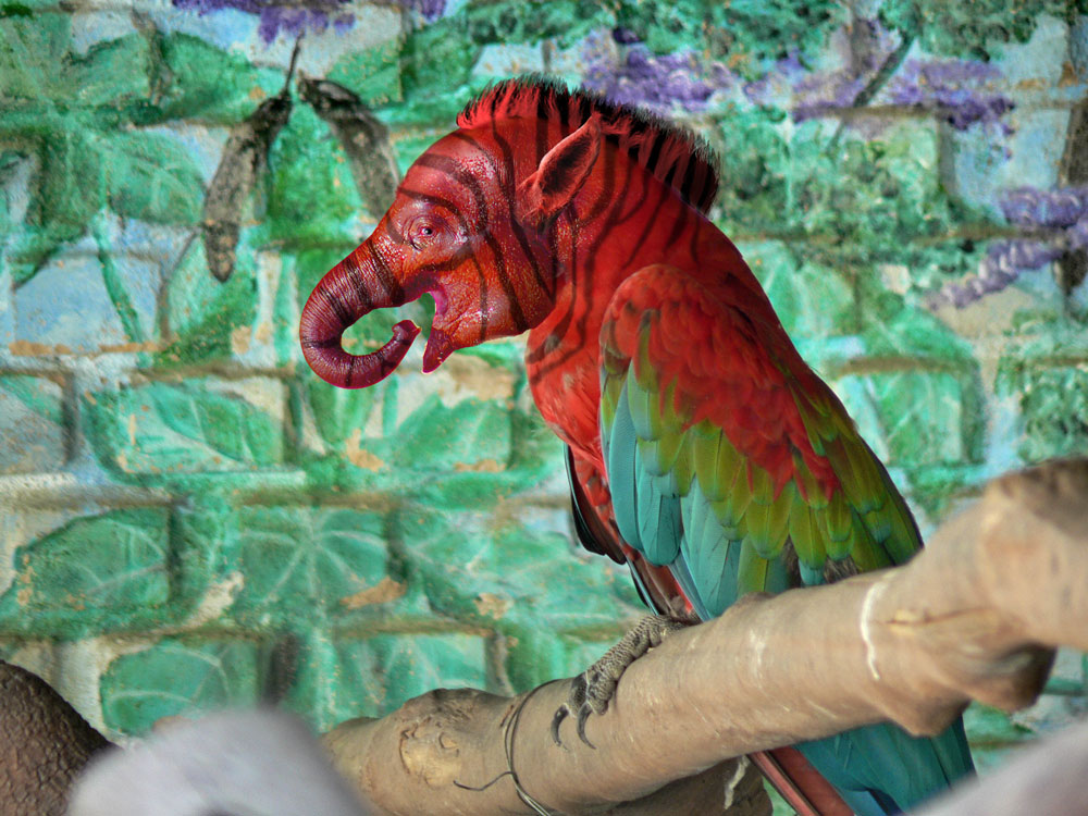 Photoshop Design by mattbyng for DesignCrowd (Community Contests) | Design #8966726