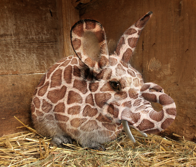 Photoshop-Design von chocoblock für DesignCrowd (Community Contests) | Design #8966775