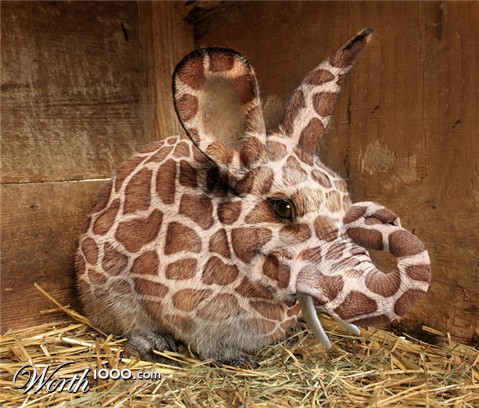 Photoshop Design by chocoblock