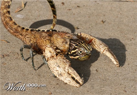 Photoshop Design by spiraleye