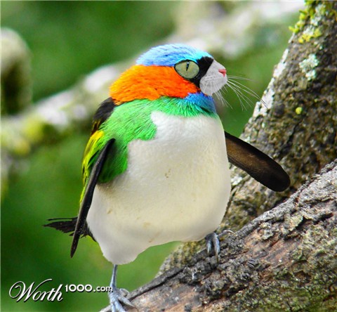 Photoshop design by katieanne for DesignCrowd (Community Contests)