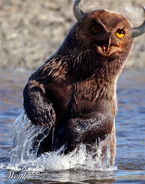 Photoshop Design by knutmaurset