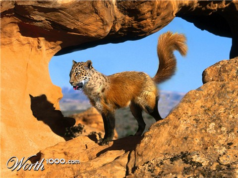 Photoshop Design by JacoSchoeman