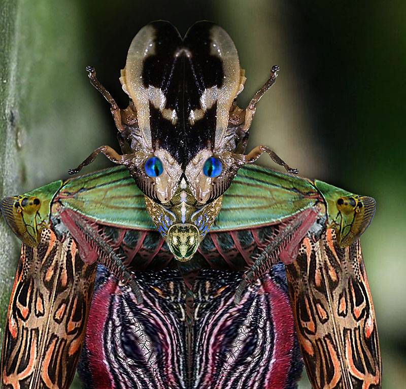 Design Photoshop par colleague pour DesignCrowd (Community Contests) | Design #8966271