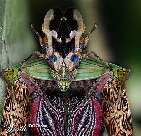 Photoshop Design by colleague